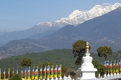 Stupas at Sheraling, India